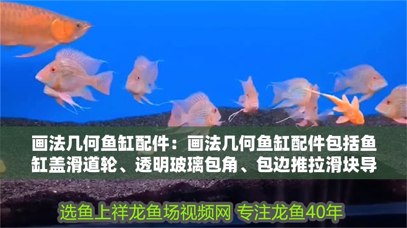 畫法幾何魚缸配件：畫法幾何魚缸配件包括魚缸蓋滑道輪、透明玻璃包角、包邊推拉滑塊導軌、直角滾輪等