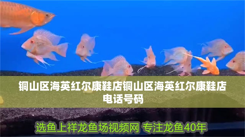 銅山區海英紅爾康鞋店銅山區海英紅爾康鞋店電話號碼