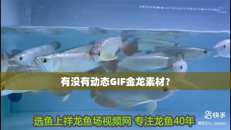 有沒有動態GIF金龍素材？