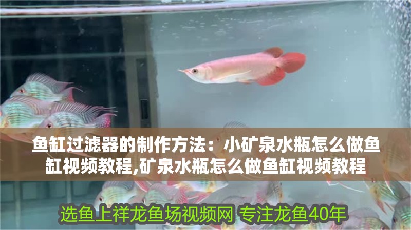 魚缸過濾器的制作方法：小礦泉水瓶怎么做魚缸視頻教程,礦泉水瓶怎么做魚缸視頻教程