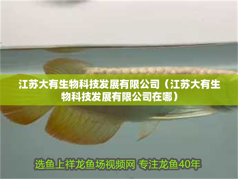 江蘇大有生物科技發(fā)展有限公司（江蘇大有生物科技發(fā)展有限公司在哪）