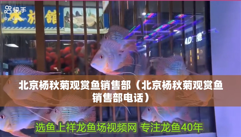 <strong><mark>北京</mark></strong>楊秋菊觀賞魚銷售部（<strong><mark>北京</mark></strong>楊秋菊觀賞魚銷售部電話）