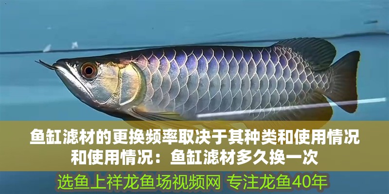 魚缸濾材的更換頻率取決于其種類和使用情況和使用情況：魚缸濾材多久換一次