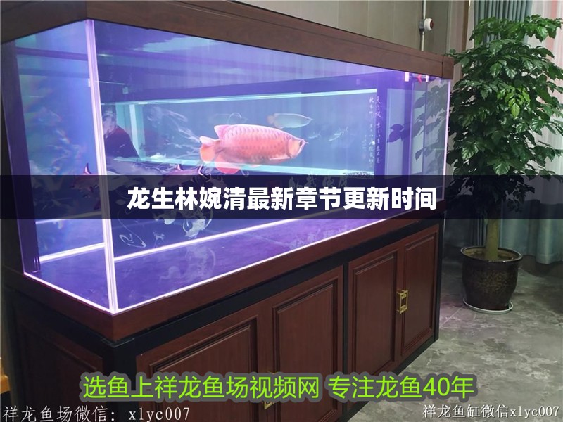 龍生林婉清最新章節(jié)更新時(shí)間