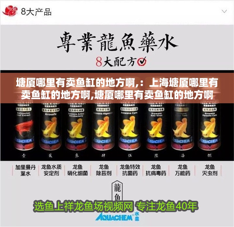 塘廈哪里有賣魚缸的地方啊,：上海塘廈哪里有賣魚缸的地方啊,塘廈哪里有賣魚缸的地方啊