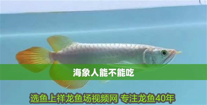 魚缸過濾器選購指南:自制魚缸過濾器魚缸上置過濾器對于養魚愛好者的必備知識 海象人能不能吃 龍魚論壇 海象人能不能吃 海象人能不能吃 龍魚論壇