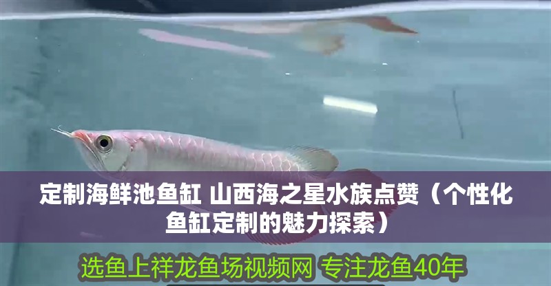 定制海鮮池魚缸 山西海之星水族點贊（個性化魚缸定制的魅力探索）