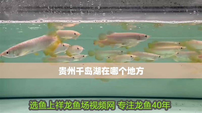 貴州千島湖在哪個(gè)地方