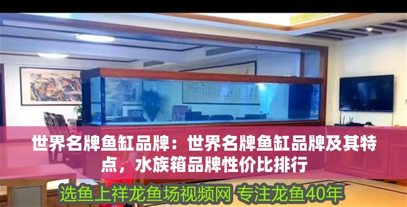 世界名牌魚缸品牌：世界名牌魚缸品牌及其特點，水族箱品牌性價比排行