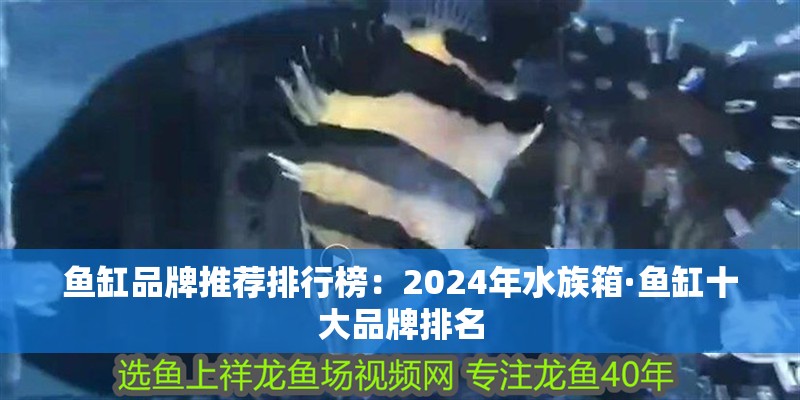 魚缸品牌推薦排行榜：2024年水族箱·魚缸十大品牌排名