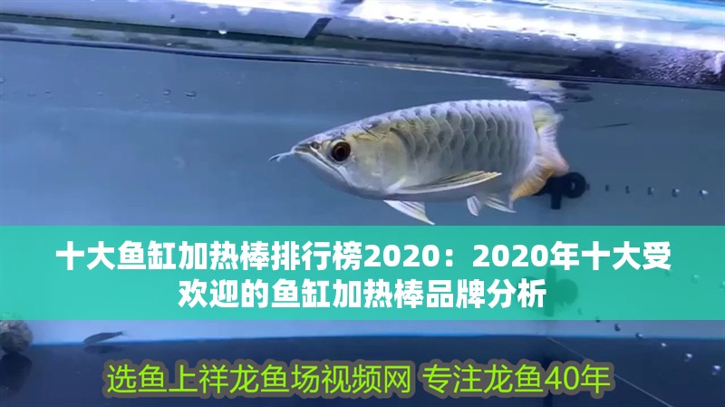 十大魚缸加熱棒排行榜2020：2020年十大受歡迎的魚缸加熱棒品牌分析