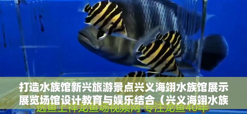 打造水族館新興旅游景點(diǎn)興義海翊水族館展示展覽場(chǎng)館設(shè)計(jì)教育與娛樂(lè)結(jié)合（興義海翊水族館展示展覽場(chǎng)館設(shè)計(jì)教育與娛樂(lè)結(jié)合） 打造水族館新興旅游景點(diǎn)興義海翊水族館展示展覽場(chǎng)館設(shè)計(jì)教育與娛樂(lè)結(jié)合（興義海翊水族館展示展覽場(chǎng)館設(shè)計(jì)教育與娛樂(lè)結(jié)合） 全國(guó)水族館企業(yè)名錄