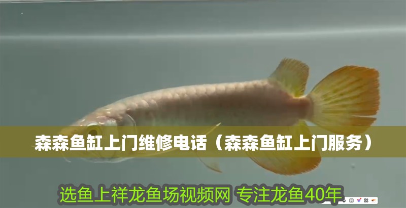 森森魚缸上門維修電話（森森魚缸上門服務(wù)）