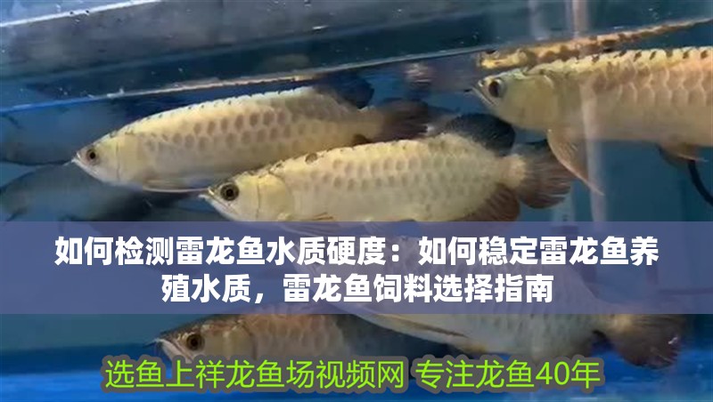如何檢測(cè)雷龍魚(yú)水質(zhì)硬度：如何穩(wěn)定雷龍魚(yú)養(yǎng)殖水質(zhì)，雷龍魚(yú)飼料選擇指南