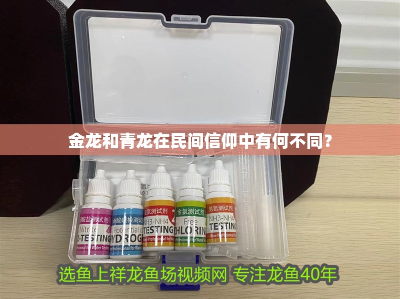 金龍和青龍在民間信仰中有何不同？
