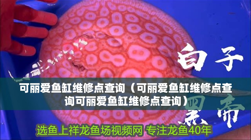 鸚鵡魚和銀龍魚混養怎樣喂食 可麗愛魚缸維修點查詢(可麗愛魚缸維修點查詢可麗愛魚缸維修點查詢) 魚缸百科 可麗愛魚缸維修點查詢(可麗愛魚缸維修點查詢可麗愛魚缸維修點查詢) 可麗愛魚缸維修點查詢(可麗愛魚缸維修點查詢可麗愛魚缸維修點查詢) 魚缸百科