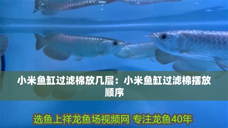 小米魚缸過濾棉放幾層：小米魚缸過濾棉擺放順序
