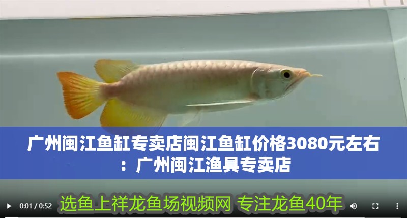 廣州閩江魚缸專賣店閩江魚缸價格3080元左右：廣州閩江漁具專賣店
