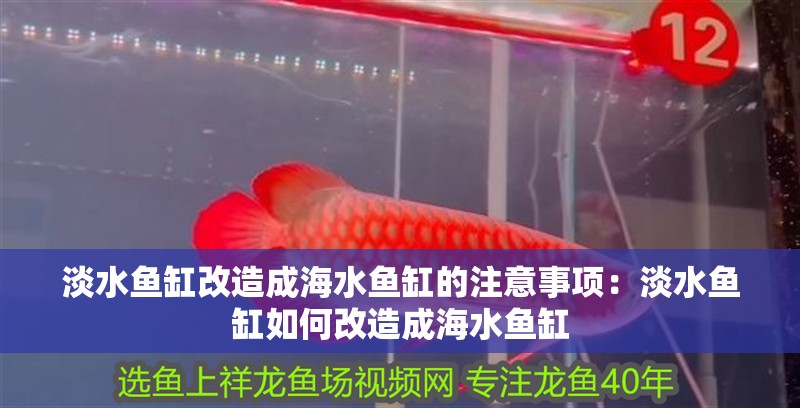 魚缸用增氧泵價格是多少:魚缸增氧機-xtrac增氧機-xtrac增氧機 淡水魚缸改造成海水魚缸的注意事項:淡水魚缸如何改造成海水魚缸 魚缸百科 淡水魚缸改造成海水魚缸的注意事項:淡水魚缸如何改造成海水魚缸 淡水魚缸改造成海水魚缸的注意事項:淡水魚缸如何改造成海水魚缸 魚缸百科