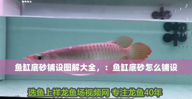 魚缸底砂鋪設(shè)圖解大全，：魚缸底砂怎么鋪設(shè)