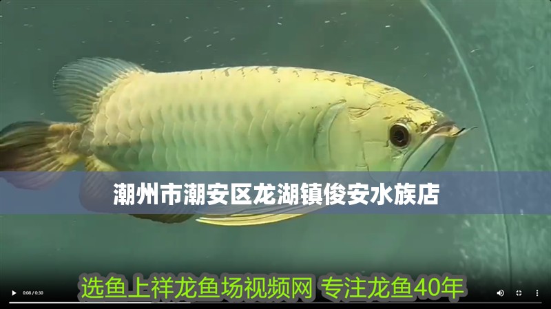 潮州市潮安區(qū)龍湖鎮(zhèn)俊安水族店