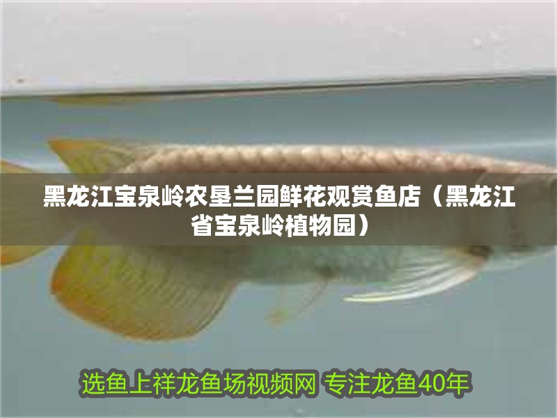 黑龍江寶泉嶺農(nóng)墾蘭園鮮花觀賞魚店（黑龍江省寶泉嶺植物園）