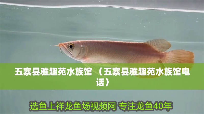 <strong><mark>五寨</mark></strong>縣雅趣苑水族館 （<strong><mark>五寨</mark></strong>縣雅趣苑水族館電話）