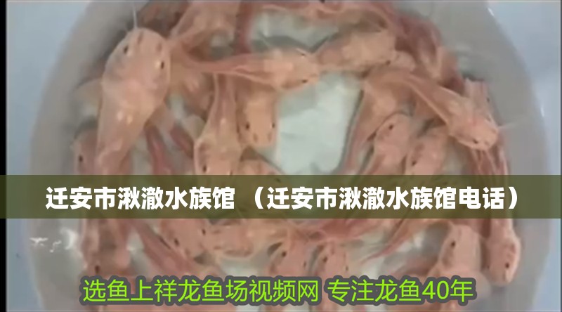 遷安市湫澈水族館 （遷安市湫澈水族館電話）