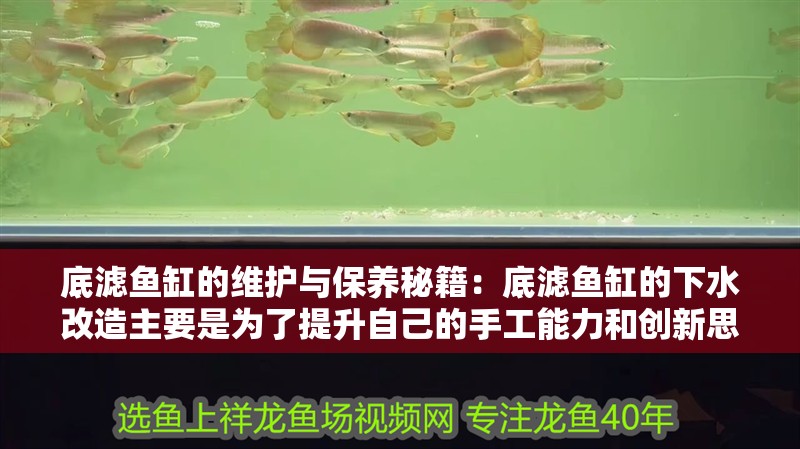 底濾魚缸的維護與保養秘籍：底濾魚缸的下水改造主要是為了提升自己的手工能力和創新思維 底濾魚缸的維護與保養秘籍：底濾魚缸的下水改造主要是為了提升自己的手工能力和創新思維 魚缸百科