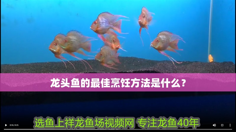龍頭魚的最佳烹飪方法是什么？ 龍頭魚的最佳烹飪方法是什么？ 龍魚論壇