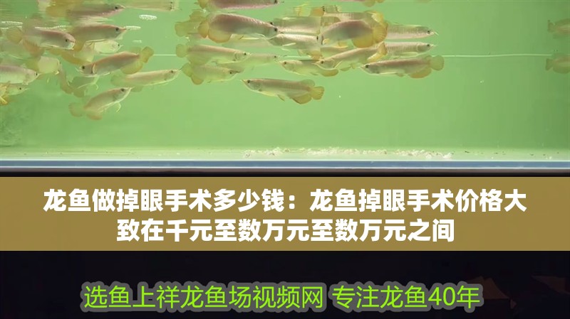 龍魚做掉眼手術(shù)多少錢：龍魚掉眼手術(shù)價(jià)格大致在千元至數(shù)萬(wàn)元至數(shù)萬(wàn)元之間