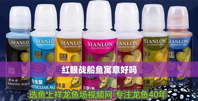 紅眼戰船魚寓意好嗎