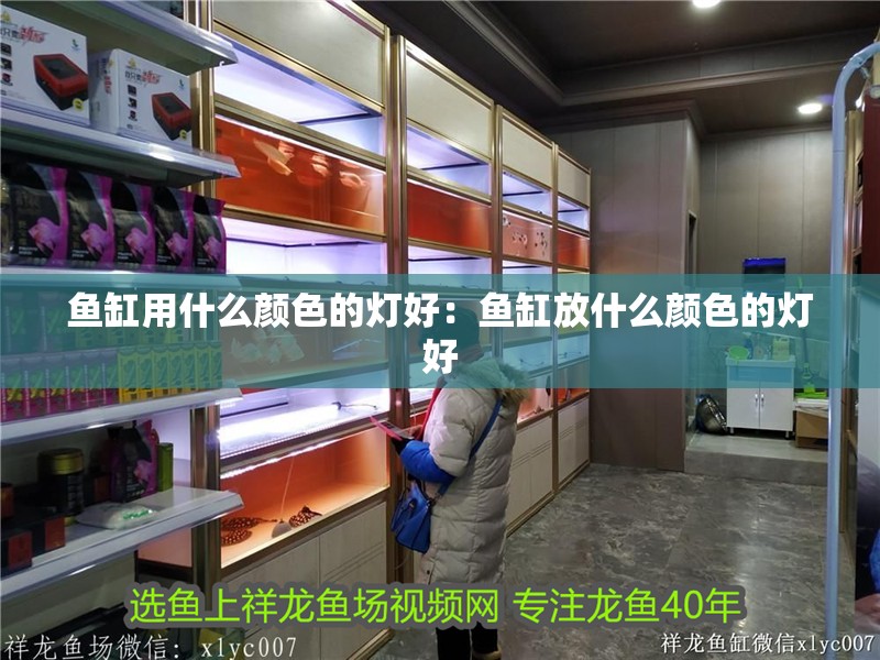 魚缸用什么顏色的燈好：魚缸放什么顏色的燈好
