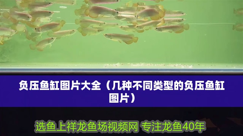 負壓魚缸圖片大全（幾種不同類型的負壓魚缸圖片）