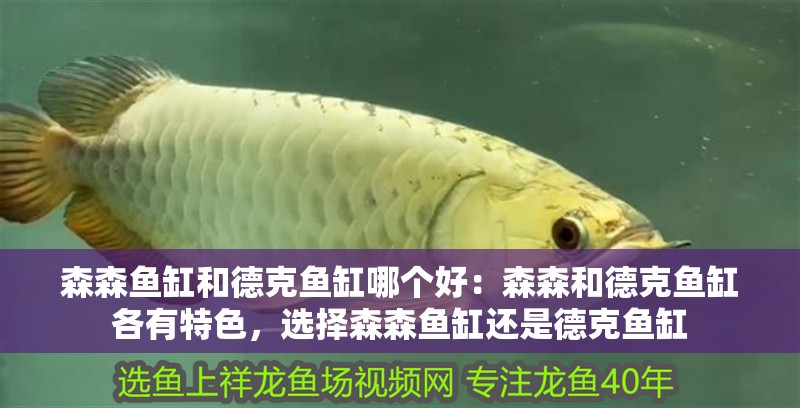 森森魚缸和德克魚缸哪個好：森森和德克魚缸各有特色，選擇森森魚缸還是德克魚缸 森森魚缸和德克魚缸哪個好：森森和德克魚缸各有特色，選擇森森魚缸還是德克魚缸 魚缸百科