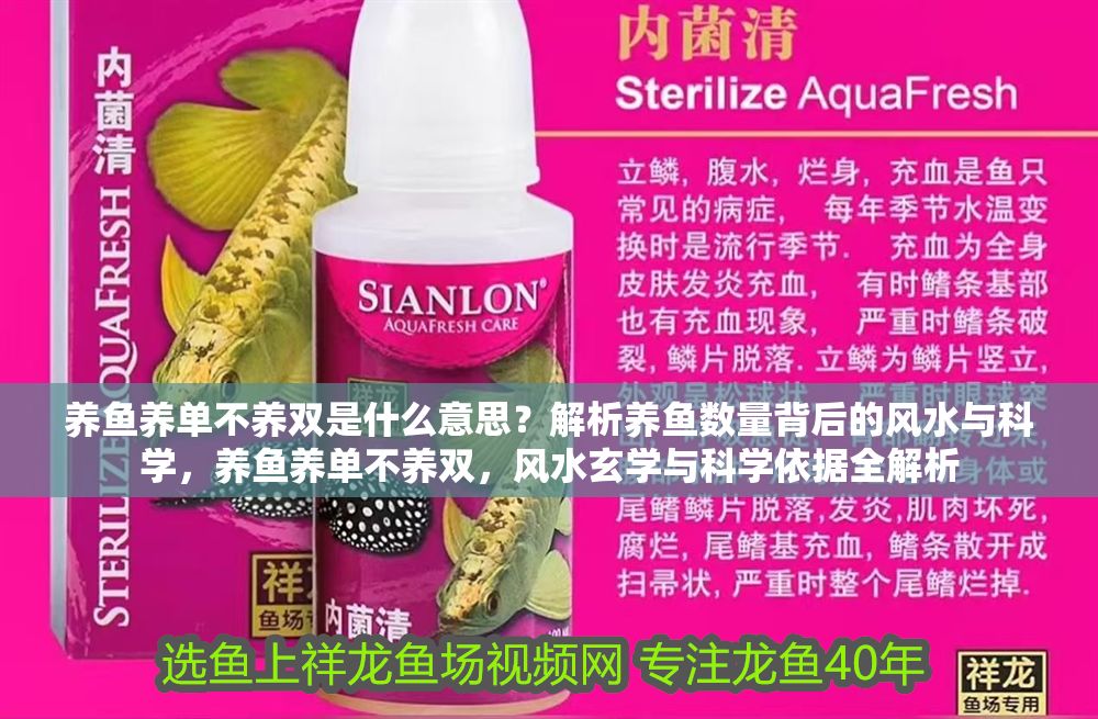 養魚養單不養雙是什么意思？解析養魚數量背后的風水與科學，養魚養單不養雙，風水玄學與科學依據全解析