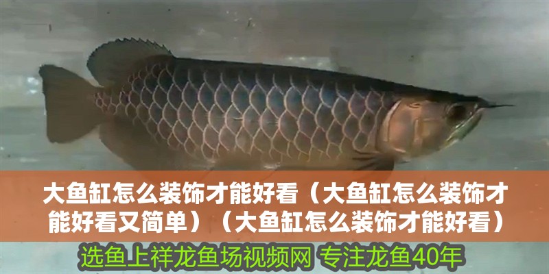 大魚缸怎么裝飾才能好看（大魚缸怎么裝飾才能好看又簡單）（大魚缸怎么裝飾才能好看）