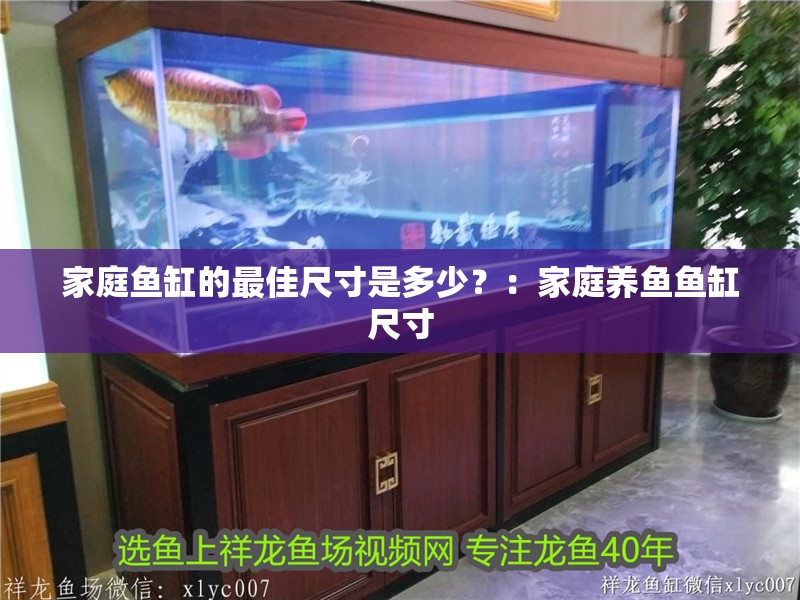 家庭魚缸的最佳尺寸是多少？：家庭養(yǎng)魚魚缸尺寸