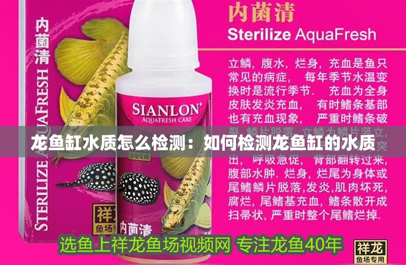龍魚缸水質怎么檢測：如何檢測龍魚缸的水質