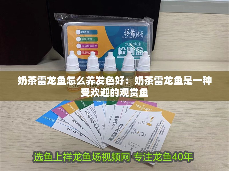 奶茶雷龍魚怎么養發色好：奶茶雷龍魚是一種受歡迎的觀賞魚