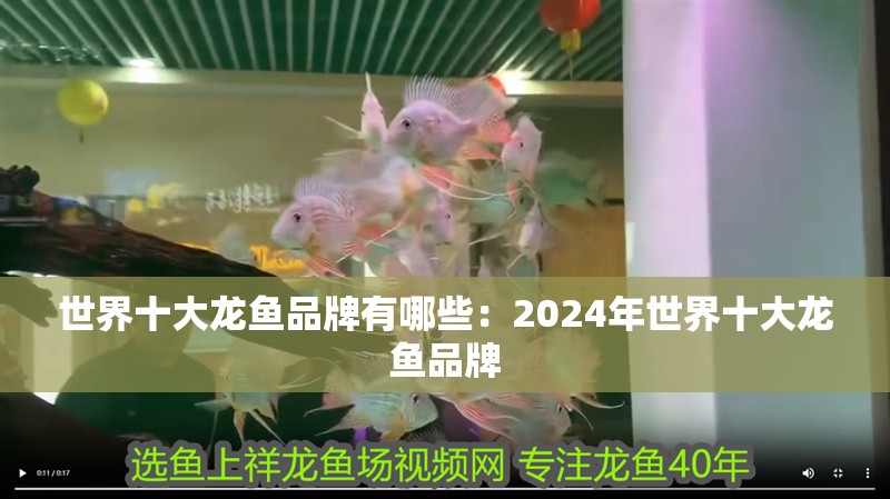 世界十大龍魚品牌有哪些：2024年世界十大龍魚品牌
