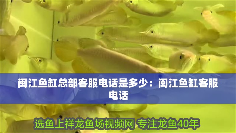 閩江魚缸總部客服電話是多少：閩江魚缸客服電話 閩江魚缸總部客服電話是多少：閩江魚缸客服電話 魚缸百科