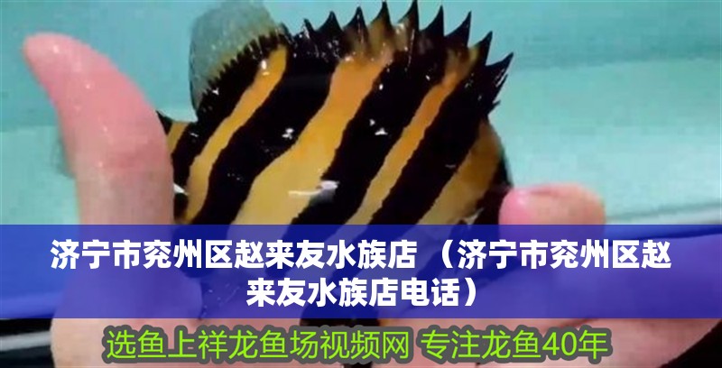 濟寧市兗州區趙來友水族店 （濟寧市兗州區趙來友水族店電話）