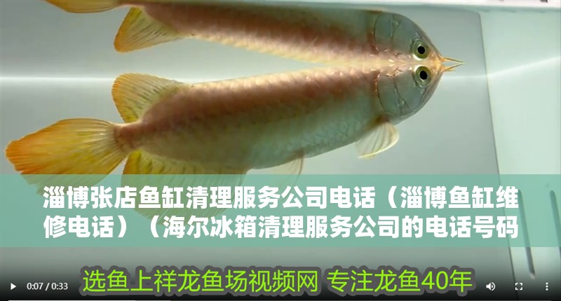 淄博張店魚缸清理服務公司電話（淄博魚缸維修電話）（海爾冰箱清理服務公司的電話號碼） 淄博張店魚缸清理服務公司電話（淄博魚缸維修電話）（海爾冰箱清理服務公司的電話號碼） 魚缸百科