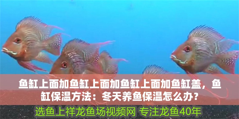 魚缸上面加魚缸上面加魚缸上面加魚缸蓋，魚缸保溫方法：冬天養魚保溫怎么辦？