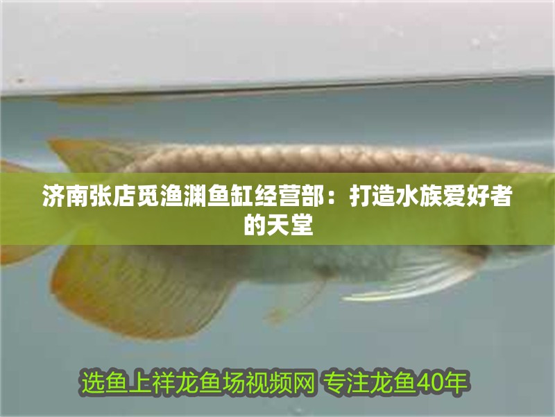 濟(jì)南張店覓漁淵魚缸經(jīng)營部：打造水族愛好者的天堂 濟(jì)南張店覓漁淵魚缸經(jīng)營部：打造水族愛好者的天堂 全國水族館企業(yè)名錄