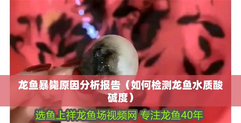 龍魚暴斃原因分析報告（如何檢測龍魚水質酸堿度） 龍魚暴斃原因分析報告（如何檢測龍魚水質酸堿度） 龍魚百科