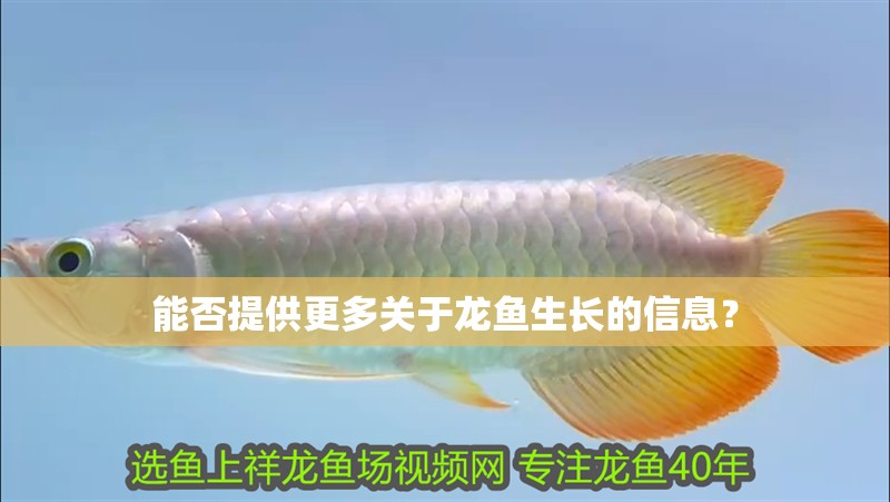 能否提供更多關于龍魚生長的信息？ 能否提供更多關于龍魚生長的信息？ 龍魚論壇