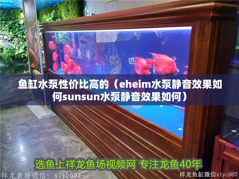 魚缸水泵性價比高的（eheim水泵靜音效果如何sunsun水泵靜音效果如何）