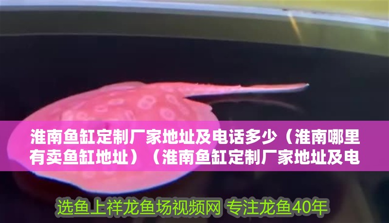 淮南魚缸定制廠家地址及電話多少（淮南哪里有賣魚缸地址）（淮南魚缸定制廠家地址及電話多少淮南魚缸定制廠家地址）